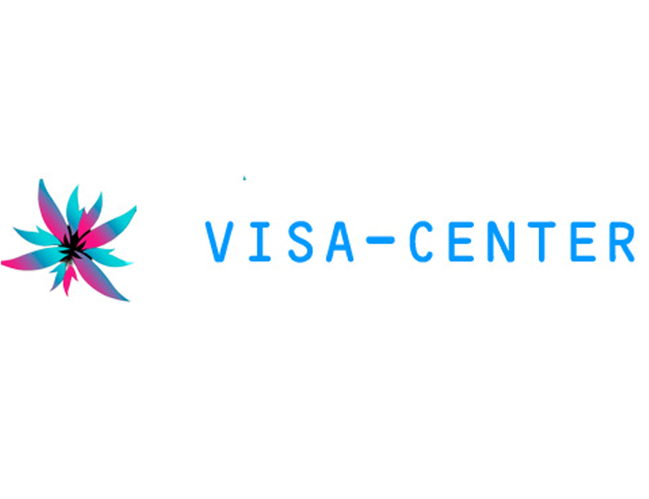 Visa-Online